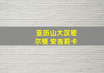 亚历山大汉密尔顿 安吉莉卡